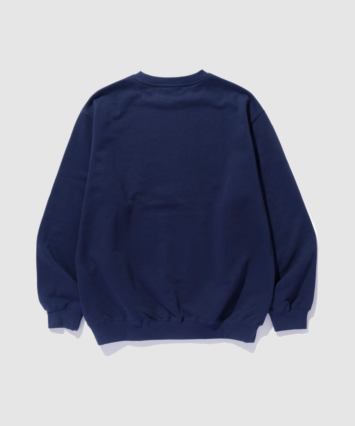 SWEATSHIRT MIT RUNDHALSAUSSCHNITT „RECREATIONS“
