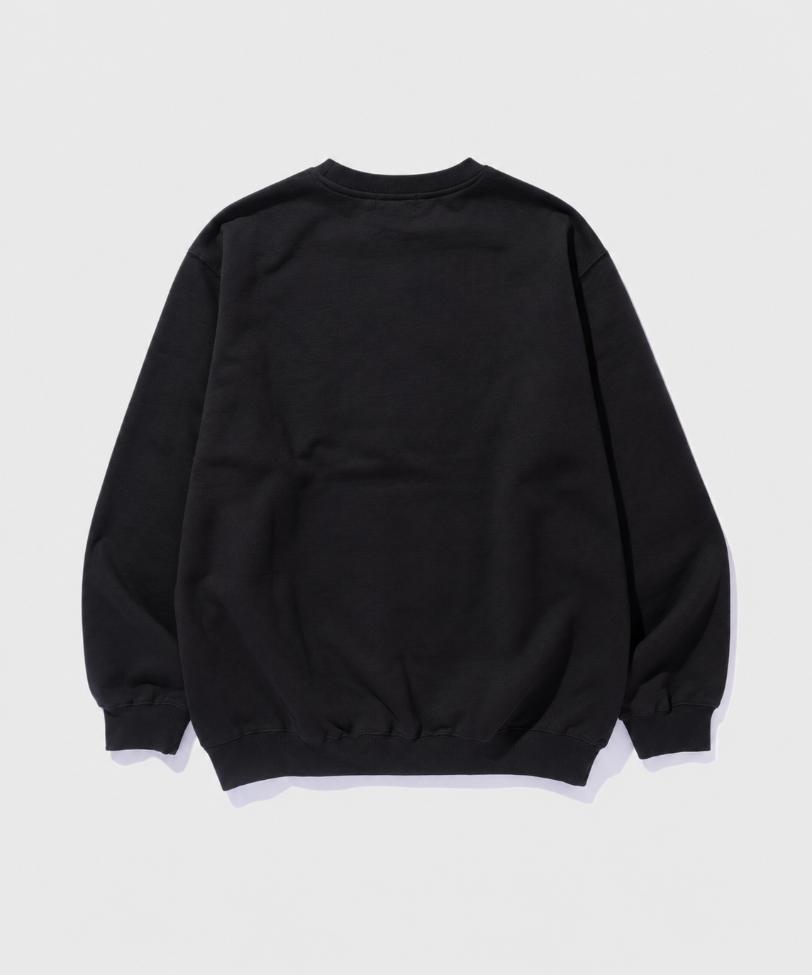 SWEATSHIRT MIT RUNDHALSAUSSCHNITT „RECREATIONS“